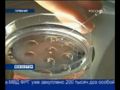 Cвиной грипп. Скандал в Германии