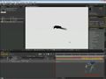 Adobe After Effects. Анимация летящей стаи птиц