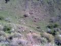 uTour 20. Video 16