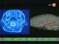 Теория невероятности. Поражающая тишина