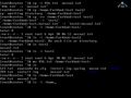 Linux операцион тизими  - Shell асослари (2-қисм)
