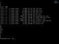 Linux операцион тизими  - Shell асослари (3-қисм)