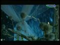 Узбекистон мустакиллигининг 20 йиллигига багишланади.3-кисм