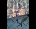 1-й республиканский кинофестиваль. 