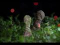 1-й республиканский кинофестиваль. 