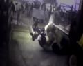 Социальная реклама Mercy For Animals’ Pro