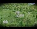 Зульфия: Яна баҳор ҳоким