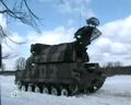 Семейство ТОРов и ОСЫ для ПВО