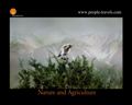 Tours To Uzbekistan from Peopletravel (www.people-travels.com)