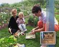 Рецепты вегетарианской кухни 9
