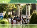 Проект «Здоровая молодежь»
