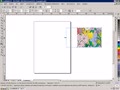 Corel Draw X3. Урок 22
