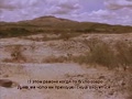 Человеческое тело_мозг