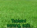 O’rta Osiyo va O’zbekistonning o’simlik dunyosi